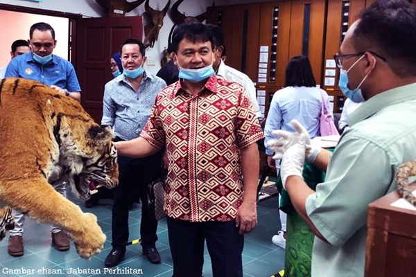Timbalan menteri dan sumber asli buat lawatan kerja ke pusat konservasi harimau dan gajah